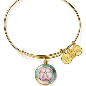 Alex and Ani sand dollar bracelet